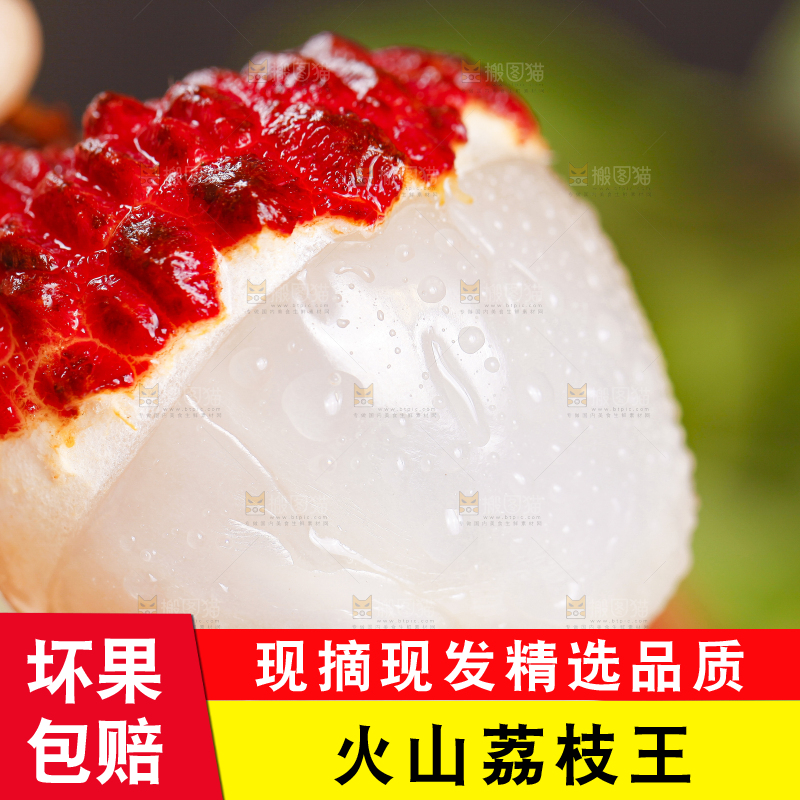 手里拿着新鲜荔枝王