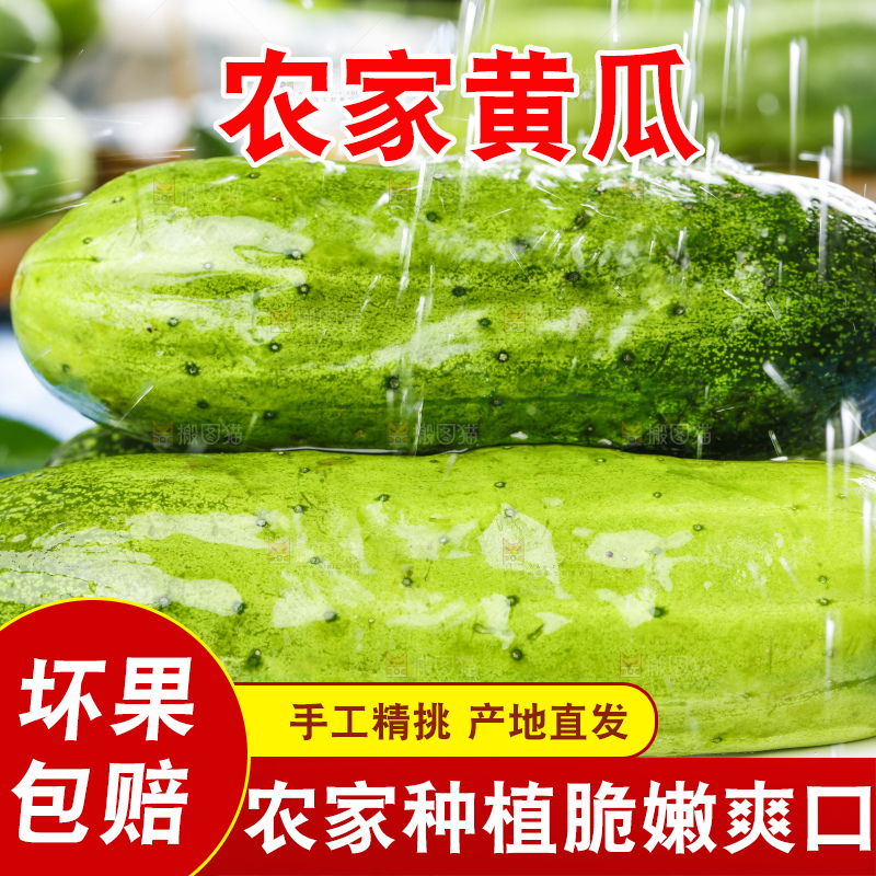 碟子里装着黄瓜