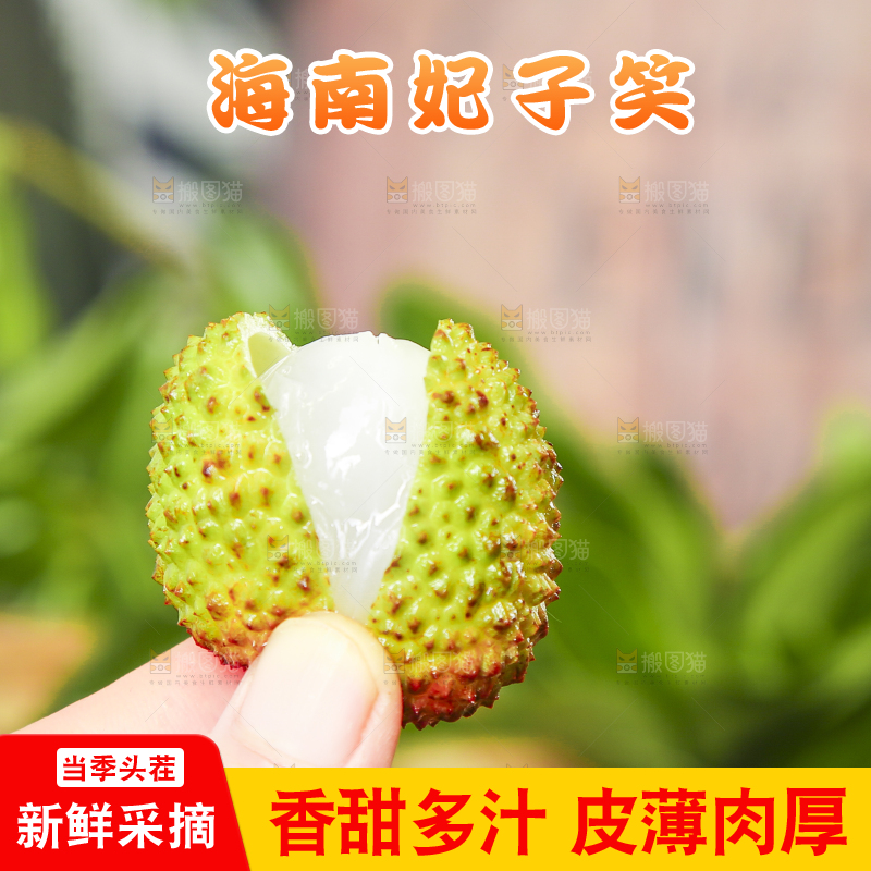 手里拿着妃子笑荔枝
