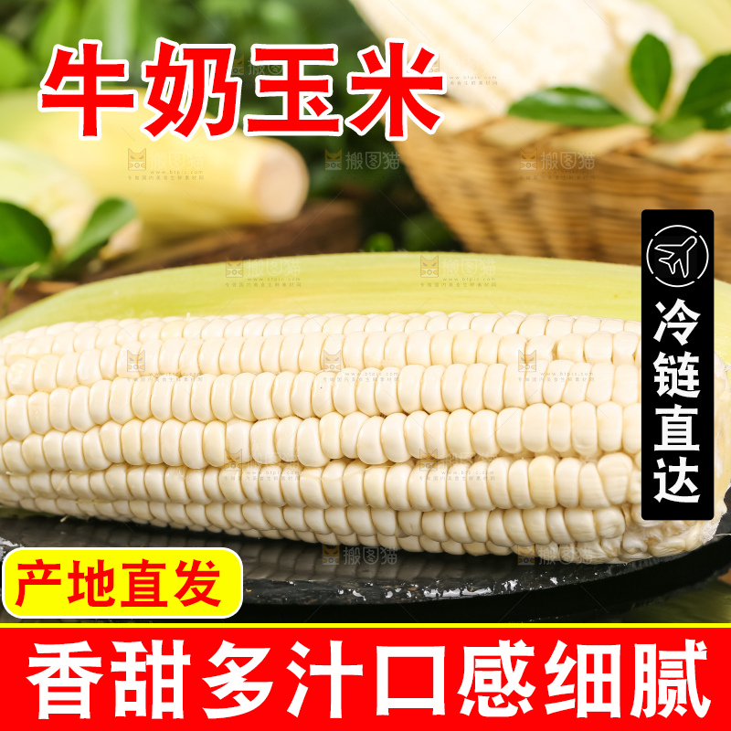 黑底上放着白玉米