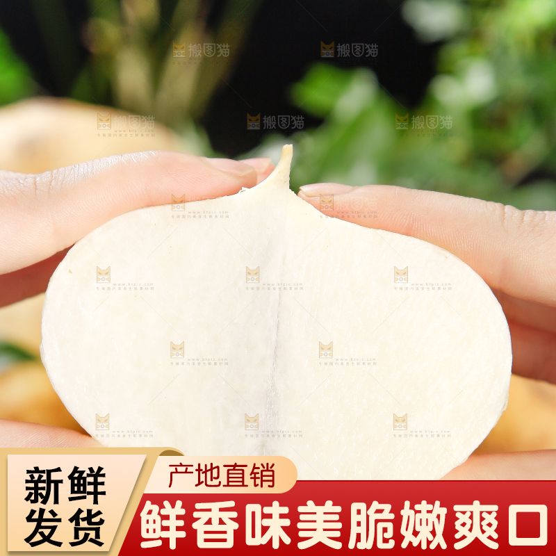 手里拿着地瓜