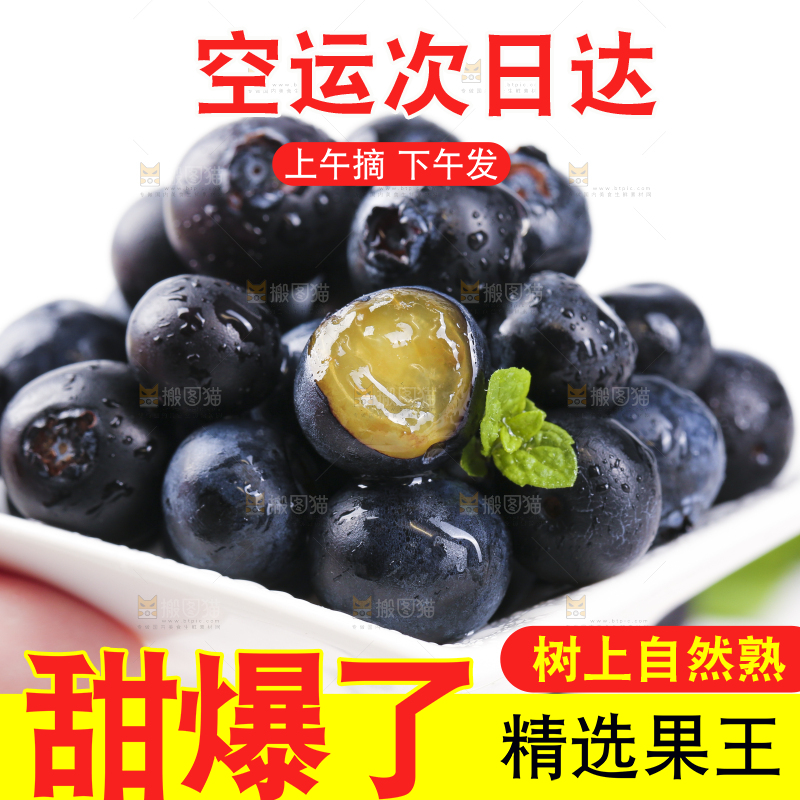 格子底上摆放着长白山蓝莓