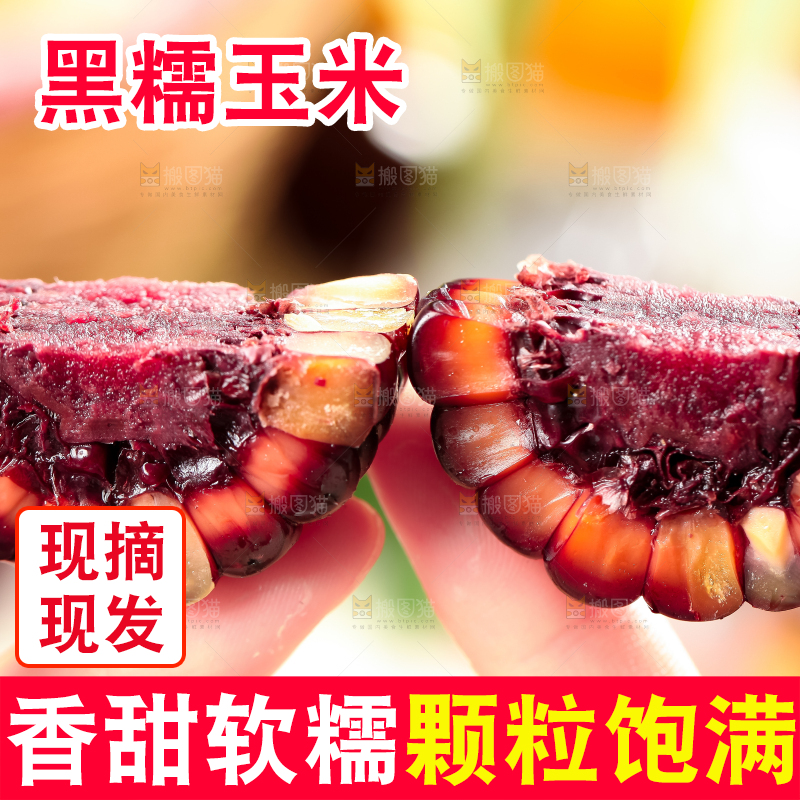 手里拿着紫玉米