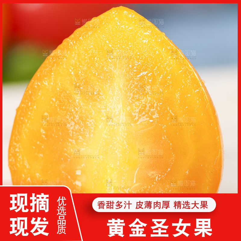 白底上摆放着山东黄金小番茄