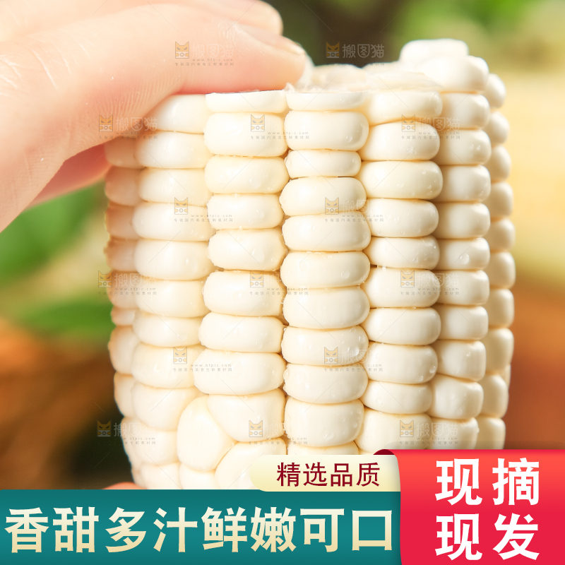 手里拿着白玉米