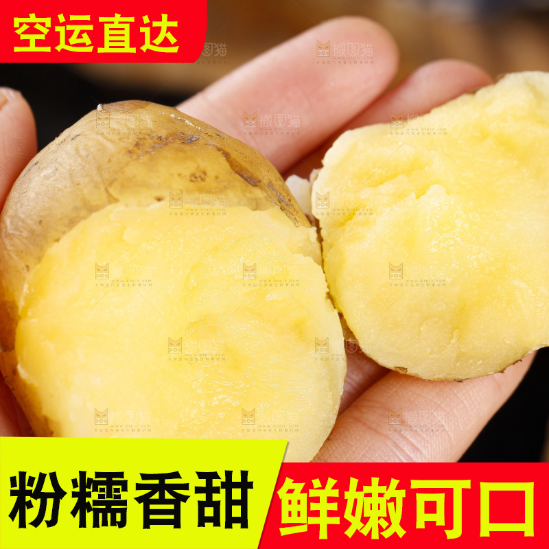 手里拿着迷你小土豆