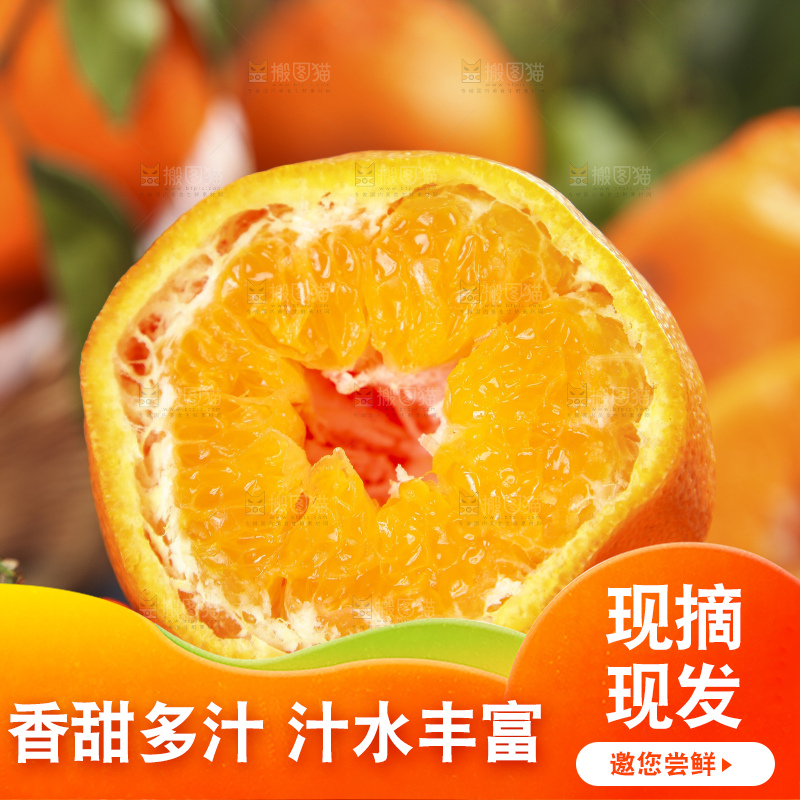 木板上的春见耙耙柑