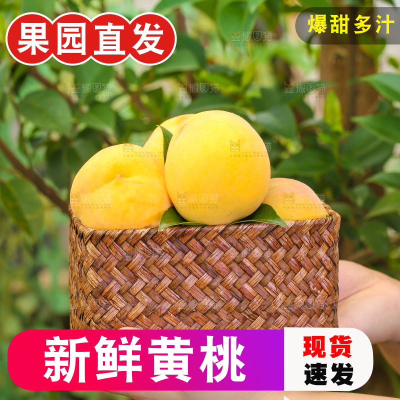 篮子里装着黄肉毛桃