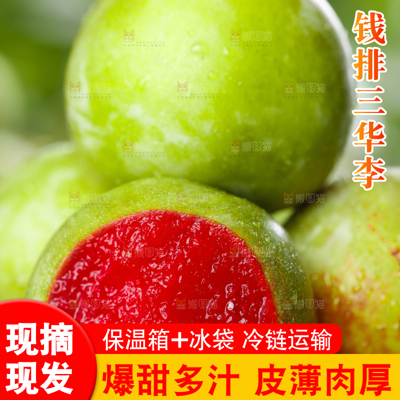 石板上的红肉三华李
