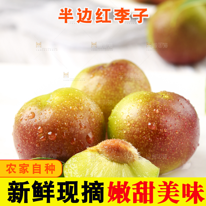 石板上摆放着四川茵红脱骨李