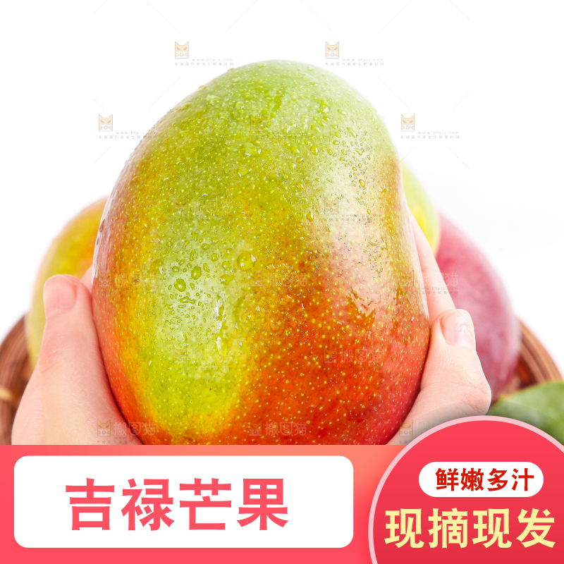 白底上的四川吉禄芒