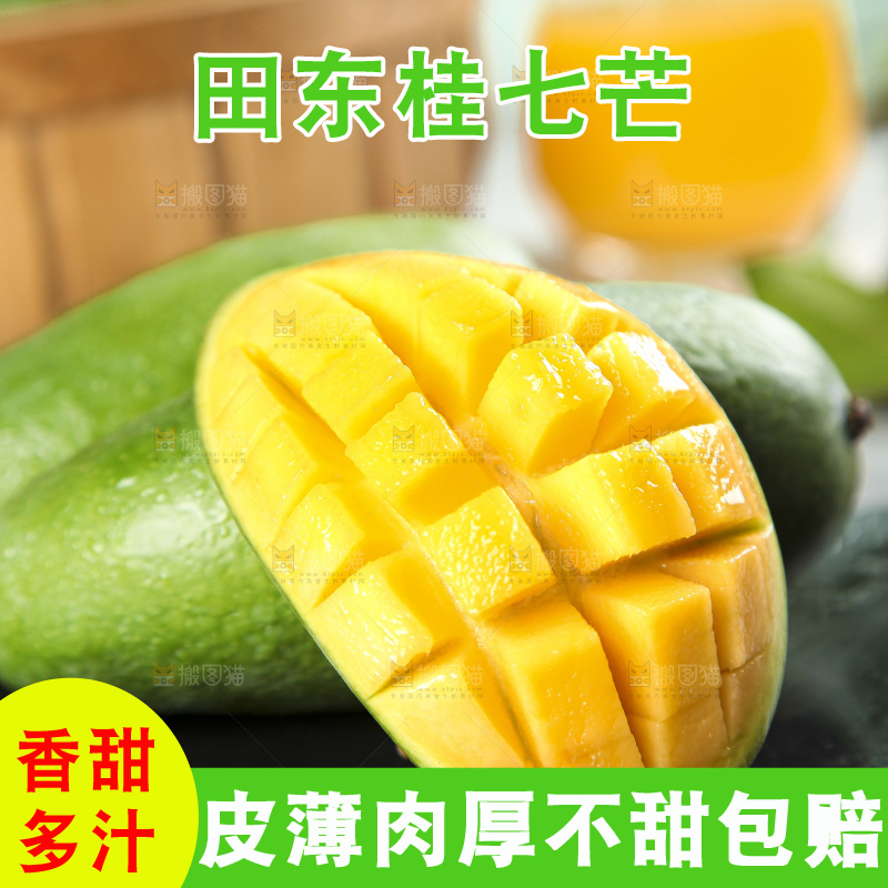 石板上的青皮桂七芒