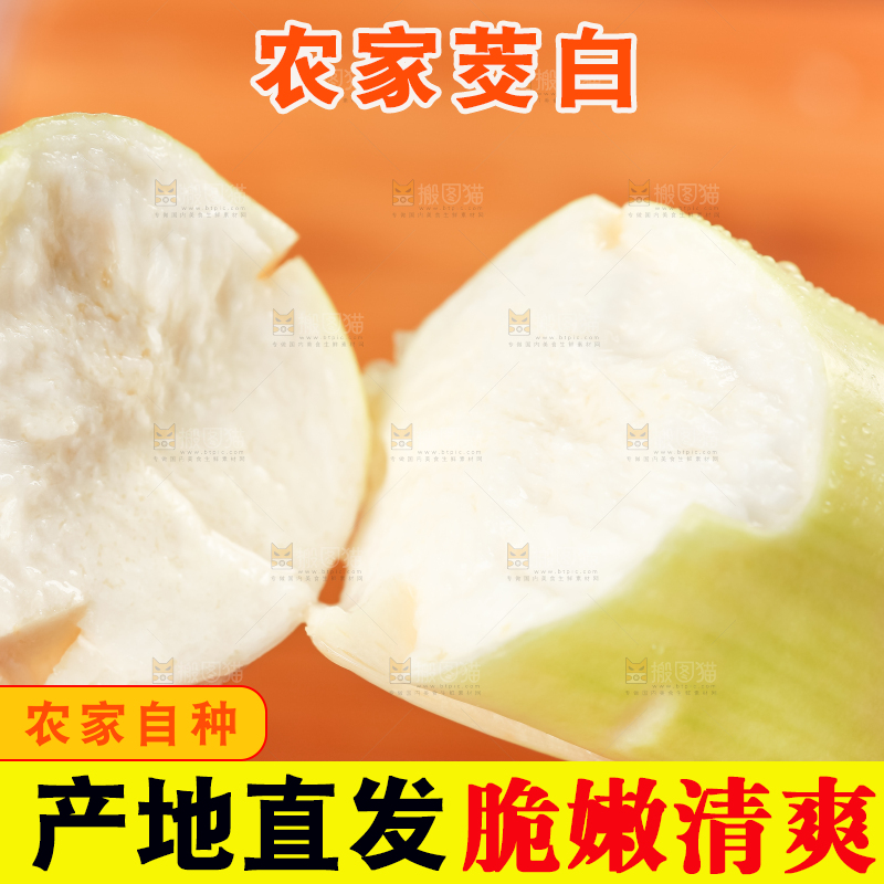 手里拿着湖北新鲜茭白