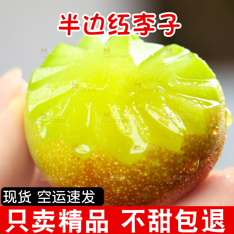 手里拿着脆红李