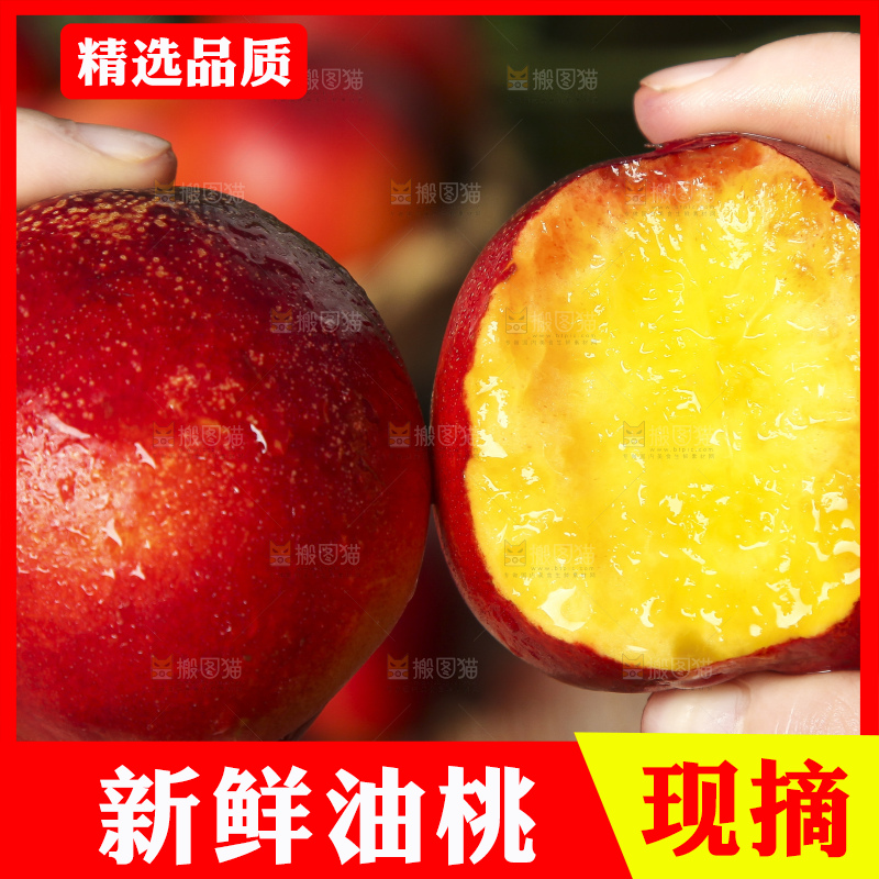 手里拿着山东黄肉油桃