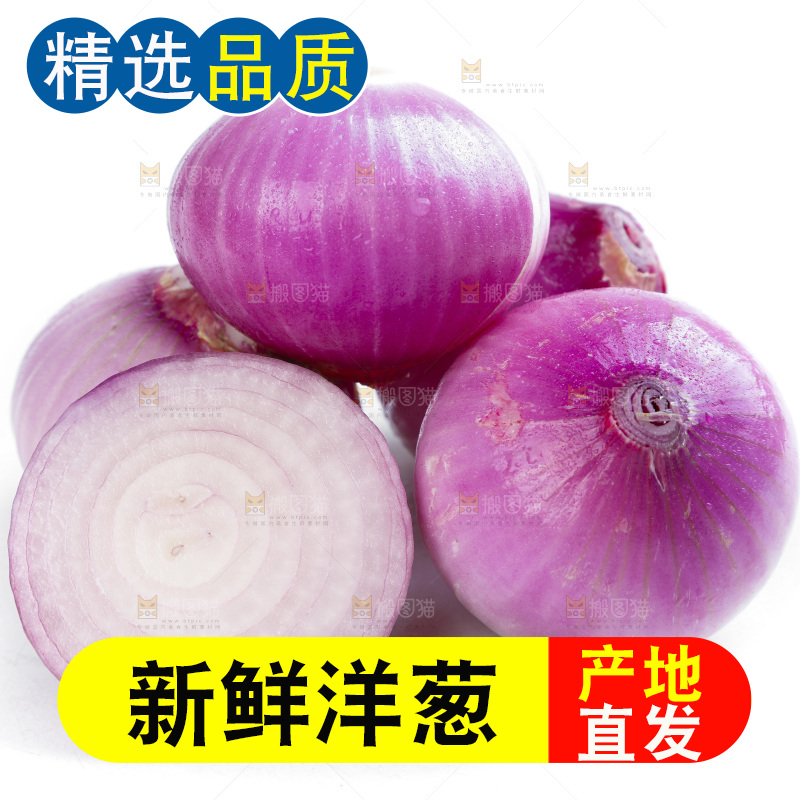 白底上的新鲜洋葱