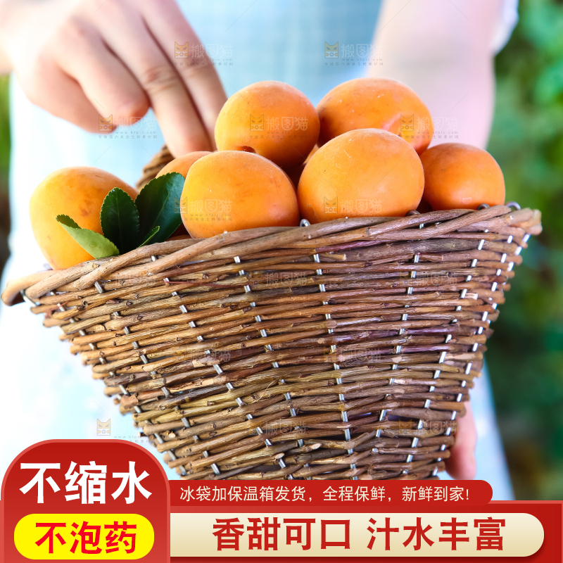 手里提着一篮杏子