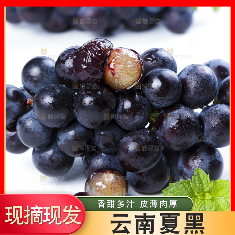白底上的巨峰葡萄