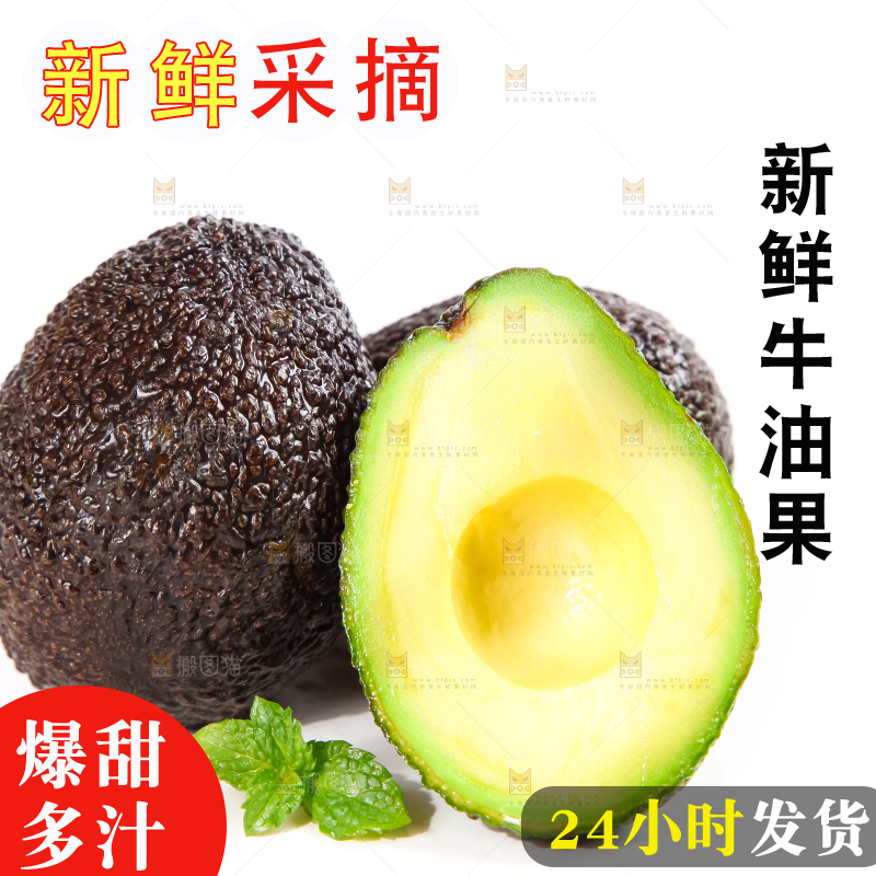 白底上的墨西哥牛油果