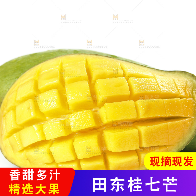 白底上的桂七香芒
