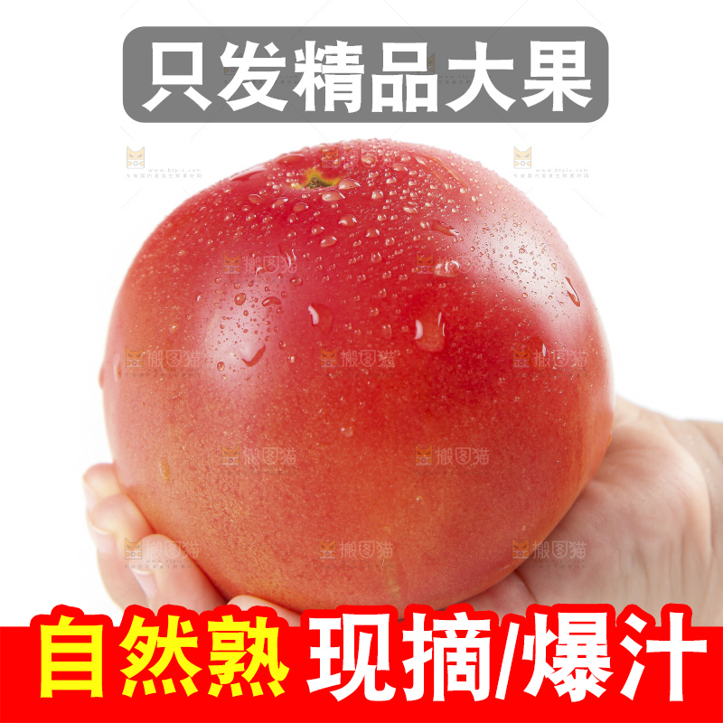 手上拿着沙瓤西红柿