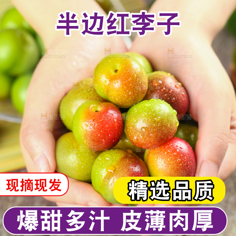 手里拿着脆红李