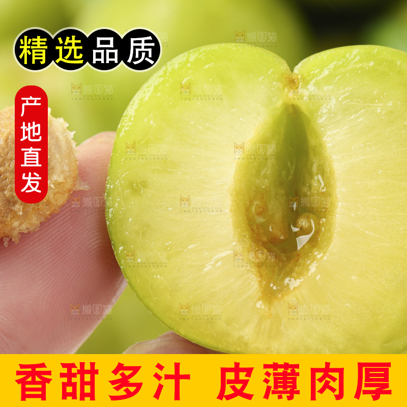 白底上放着脱骨李
