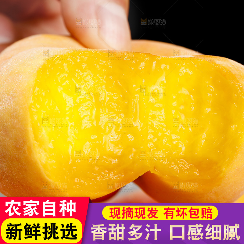 黑底上的毛蟠桃