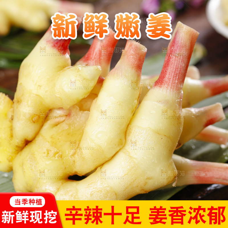 木板上的红芽嫩仔姜