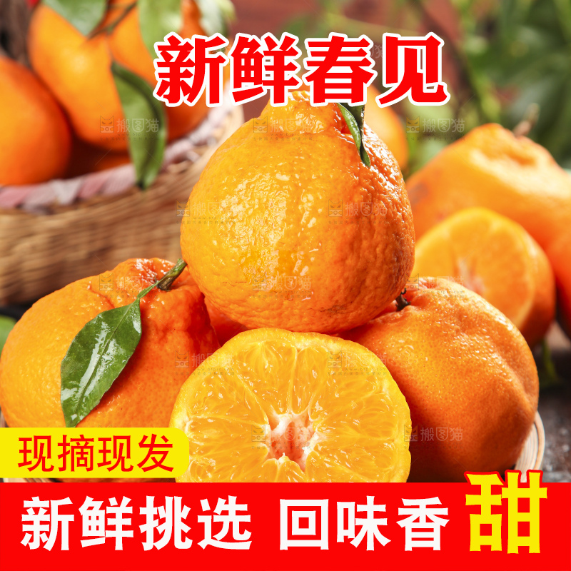 篮子里装着一堆四川春见耙耙柑