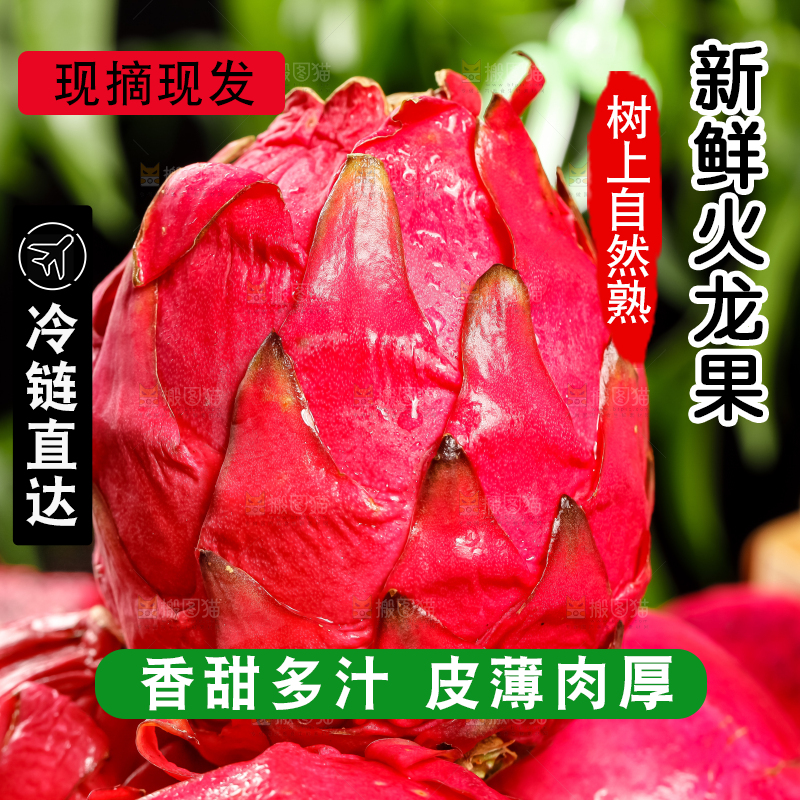 黑石板上摆放着金都红肉火龙果