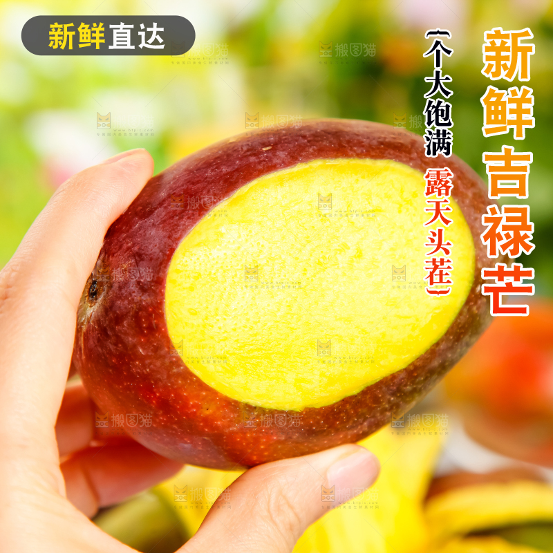 手里拿着四川吉禄芒