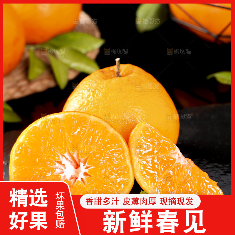 石板上摆放着四川春见耙耙柑