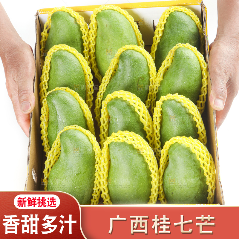 箱子里装着百色田东桂七芒