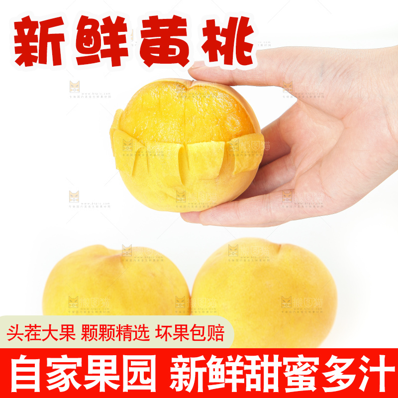 白底上的黄肉桃