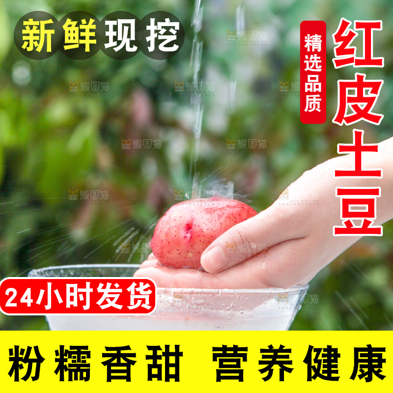 盆子里装着正在清洗的土豆
