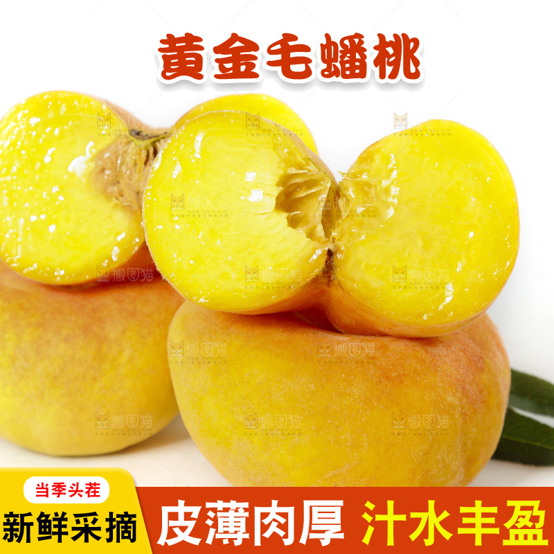 白底上的蒙阴毛蟠桃