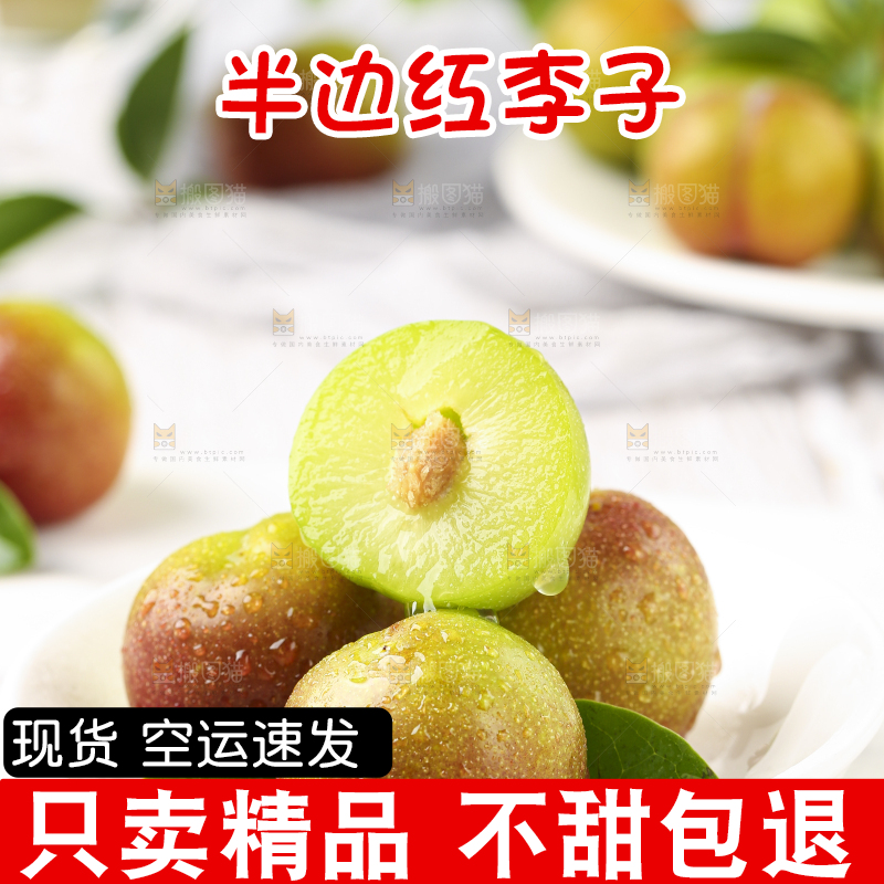 石板上摆放着四川茵红脱骨李
