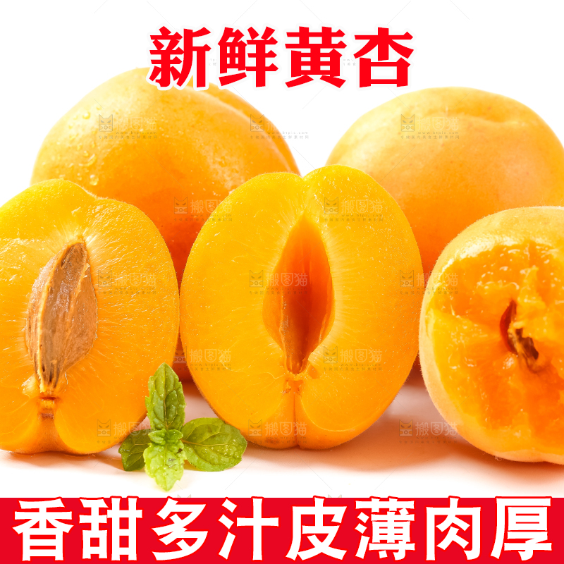 白底上摆放着杏子