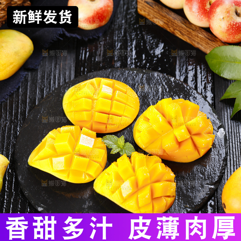 石板上的小香芒