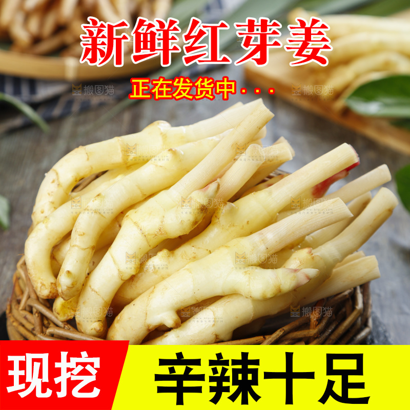 篮子里装着新鲜嫩姜