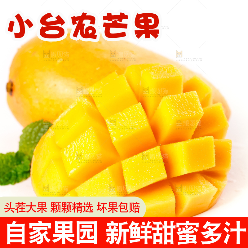 白底上放着台农芒