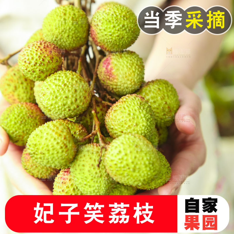 手里拿着妃子笑荔枝