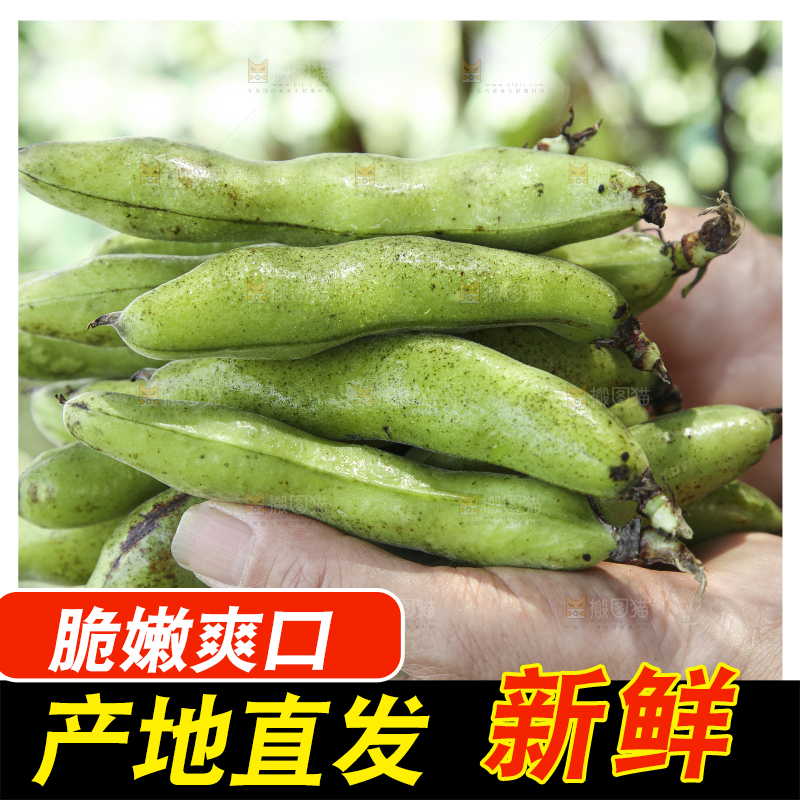 手里拿着生蚕豆