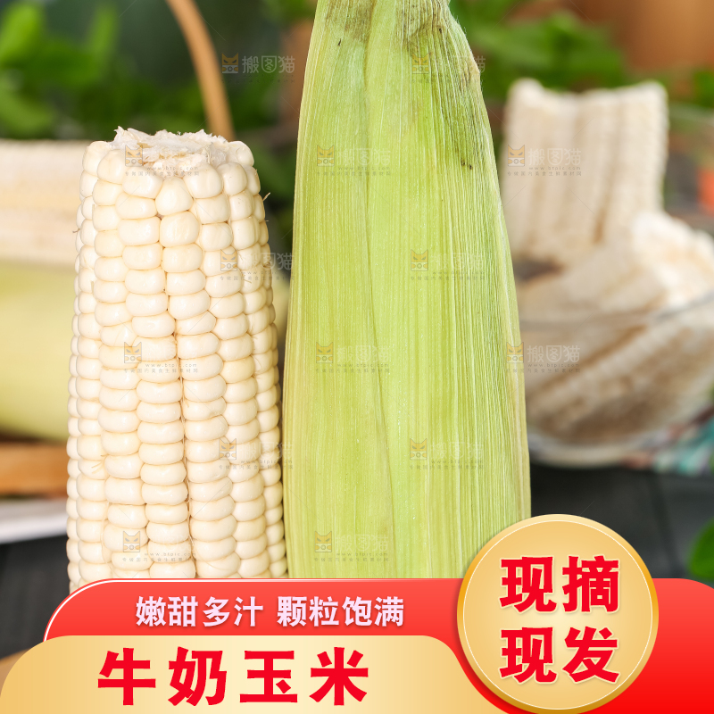 木板上摆放着漳州牛奶玉米