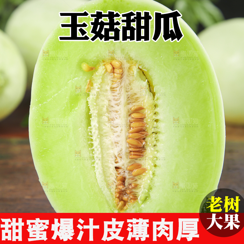 深底上摆放着山东玉菇甜瓜