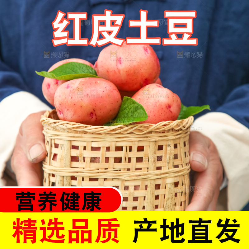 篮子里装着红皮土豆
