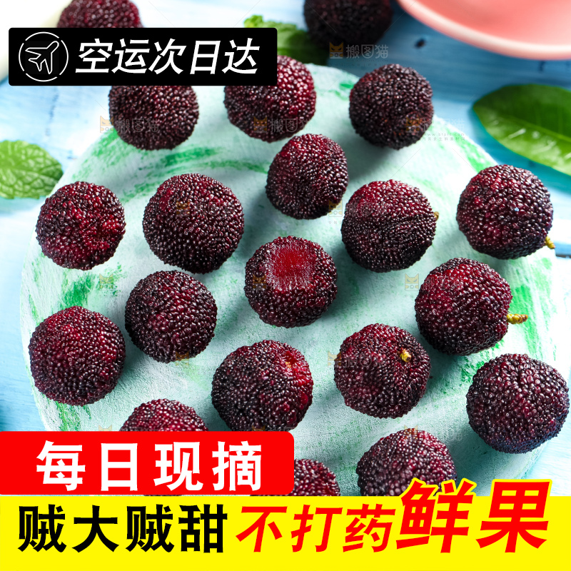 浅底上摆放着鲜杨梅