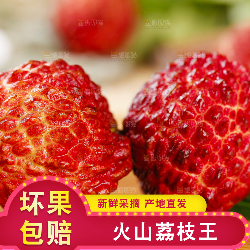 木底上摆放着火山荔枝王