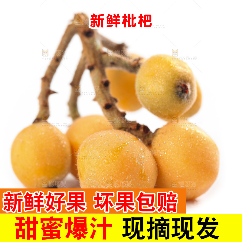 白底上放着云南蒙自枇杷
